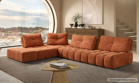 Canapé 2 places + chaise longue