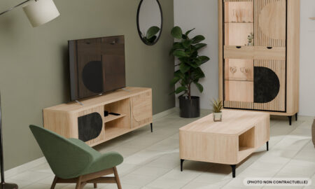 Meubles TV 1 porte coulissante