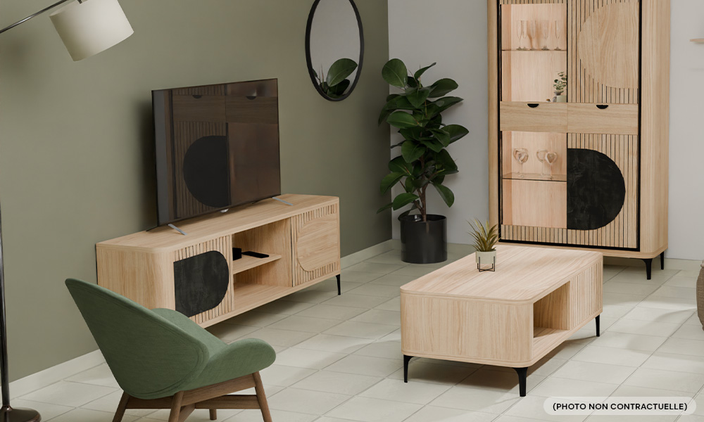 Meubles TV 1 porte coulissante